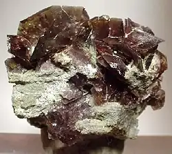 Cristales de axinita (hasta 2.3&nbsp;cm) en lo alto de una matriz de West Bor Pit en Dalnegorsk, Rusia
