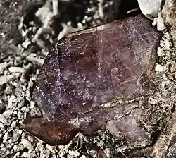 Ferro-axinita sobre albita - Arbizon Pirineos