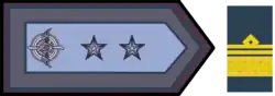 Insignia de brigadier.