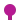 KBHFa fuchsia
