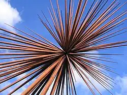 B of the Bang, Mánchester.