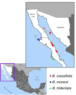 distribución natural