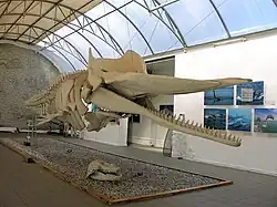 Exposición en el interior