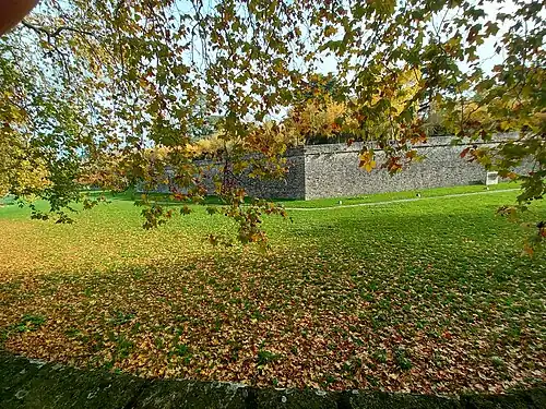 Cara sur del revellín de San Roque.