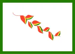 las naciones y pueblos indígena originario campesinos de tierras bajas del Departamento de La Paz