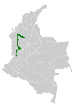 Distribución geográfica de la tangara negrigualda.