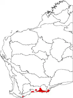 Distribución de B.&nbsp;speciosa (Banksia vistosa), mostrada en un mapa de las regiones biogeográficas de Australia Occidental.[1]​
