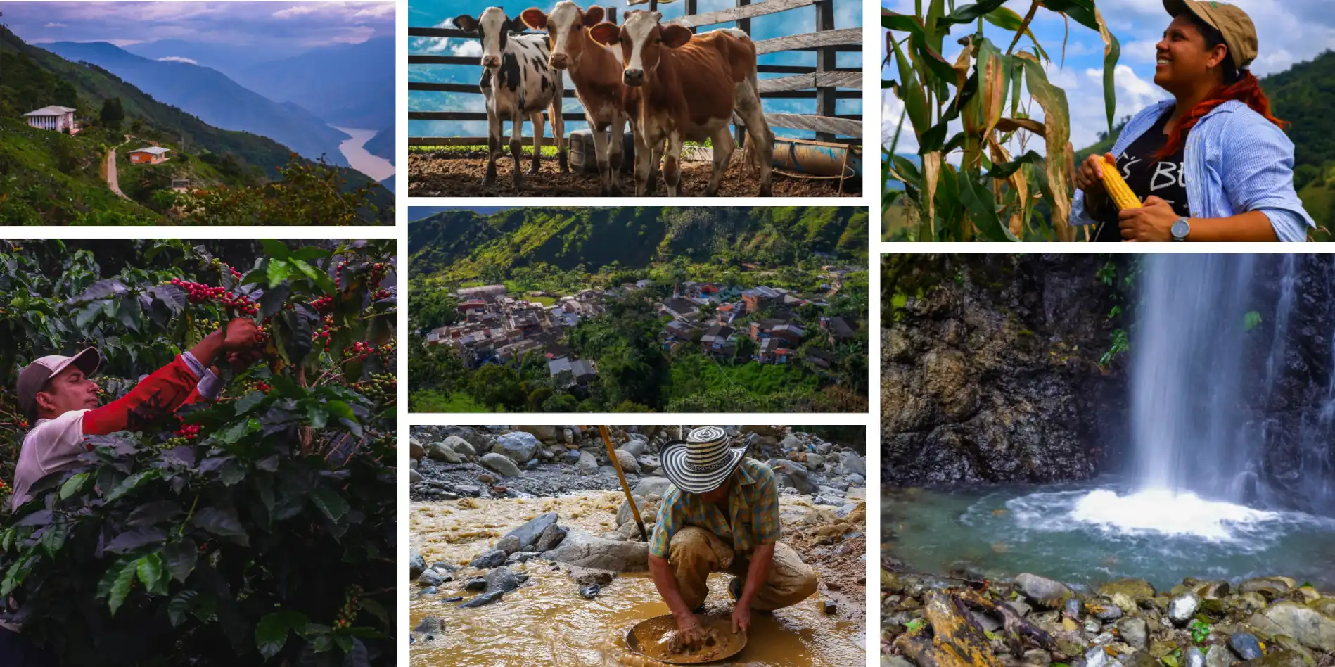 Banner - Briceño (Antioquia)