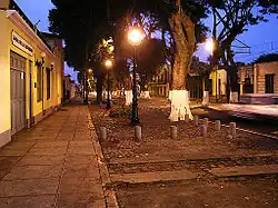 Avenida Pedro de Osma