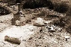 Basílica Paleocristiana de la Isla de Colom