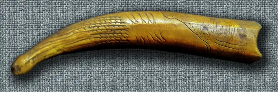 Bastón fálico decorado Cueva del Valle (Cantabria)