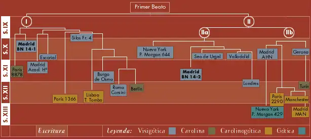 Diagrama que indica el tipo de letra y la biblioteca en la que se conservan los beatos