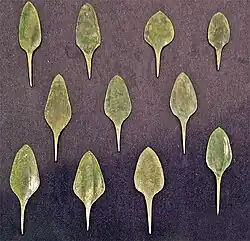 Puntas de flecha tipo Palmela