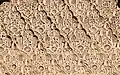 Motivo Sebka con arabescos en la decoración de estuco tallado de la madrasa Ben Youssef