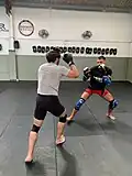 Sparring (entrenamiento al combate con un compañero)
