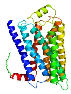 Representación gráfica de la estructura cristalina del receptor beta-2 adrenérgico con su agonista inverso carazolol. Se observan figuras helicoidales de diferentes colores interactuando entre sí.