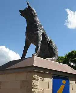 Estatua de Australian Cattle Dog en Muswellbrook