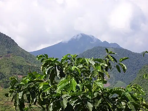 Mount Binuluan, volcán.