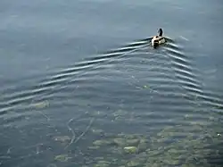 Lago Constanza en Lindau