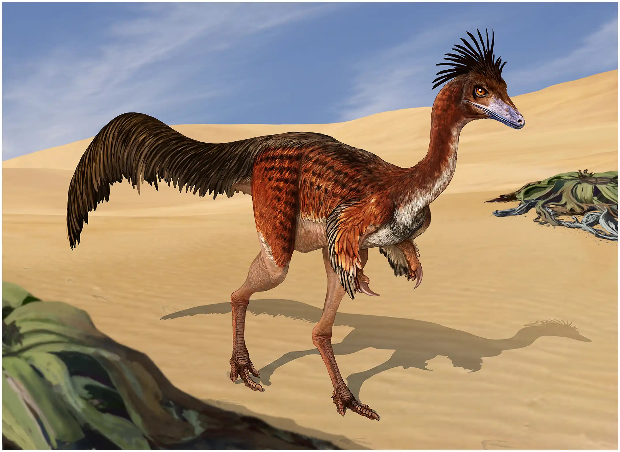 Bonapartenykus_(life_restoration)