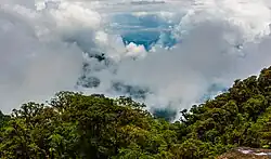 Vista del parque desde una zona alta.