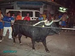 Fiesta Mayor de San Roque de La Cava