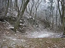 Pequeño bosque cerca de Obere Veste