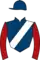 Horse racing silks