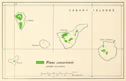 Distribución natural de Pinus canariensis.