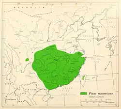 Distribución de Pinus massoniana en un mapa de 1966