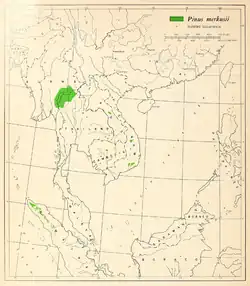 Distribución natural de Pinus merkusii