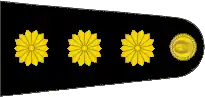 Insignia de coronel del Ejército Argentino.