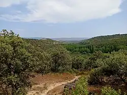 Vista del Cañón del río Pirón desde las proximidades al caserío, al fondo la sierra de Guadarrama