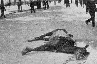 Caballo de un policía muerto en la Alameda.