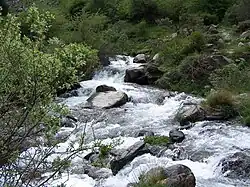 RNF Nacimiento del Genil