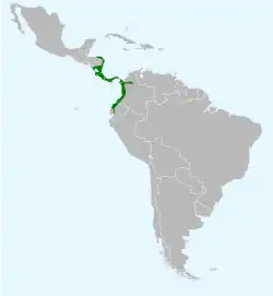 Distribución del cacique lomiescarlata.