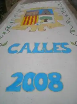 Calle Adornada, fiestas agosto de 2008