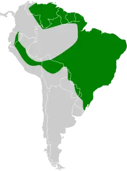 Distribución geográfica del colibrí amatista