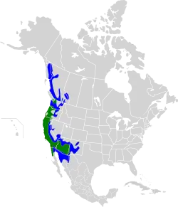 Distribución geográfica del colibrí de Ana.