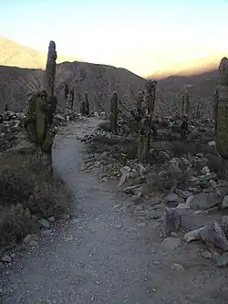 Caminos en Pucará de Tilcara, Argentina.