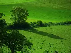 Campiña de Tudela de Duero