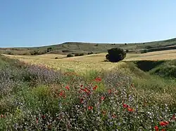 Campos de labranza de la provincia de Segovia