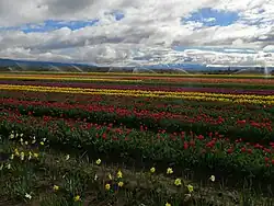 Atractivo turístico en Trevelin