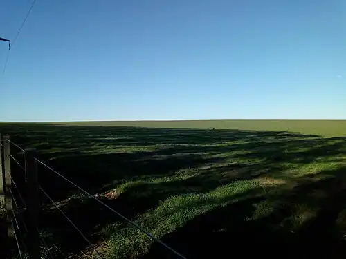 Campo en el partido de Coronel Rosales, provincia de Buenos Aires, Argentina