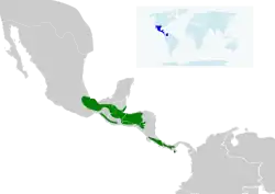 Distribución geográfica del colibrí morado