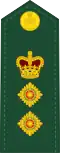 Coronel del Ejército canadiense