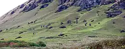 Cantera de moáis en Rano Raraku.