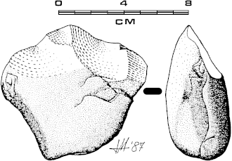 Canto tallado monofacial