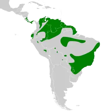 Distribución geográfica del mosquerito amarillo.