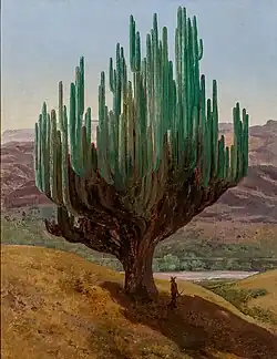 Cardón, Estado de Oaxaca.